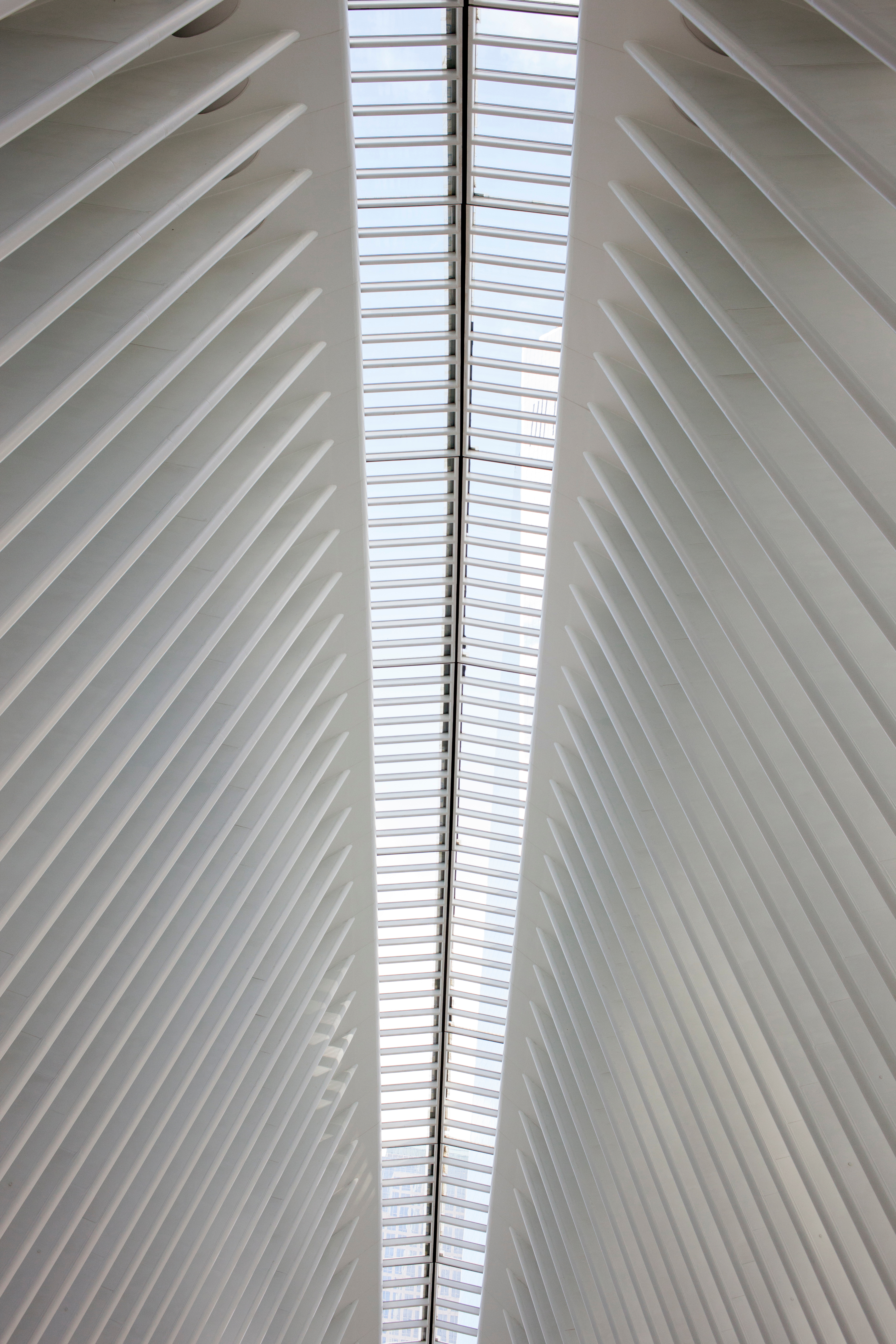 Roof Lanterns & Atriums